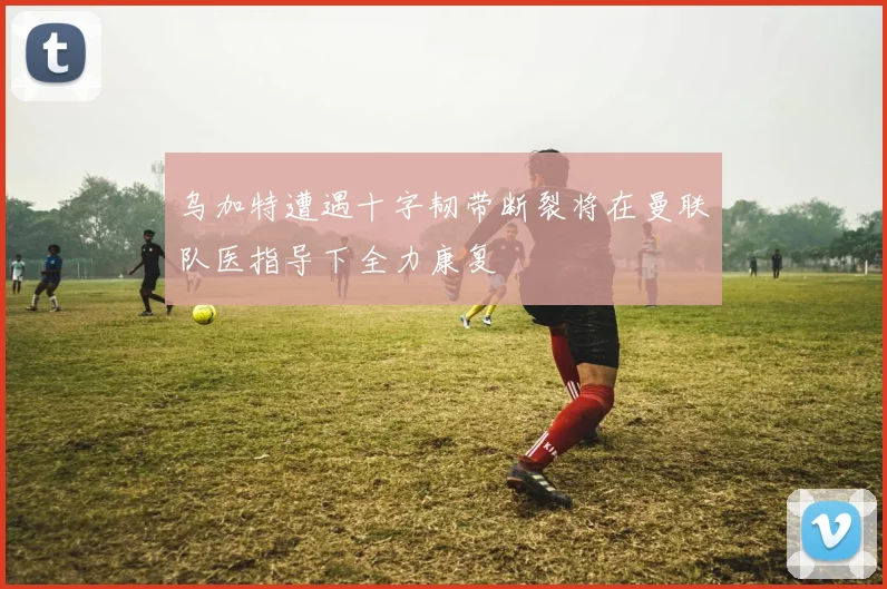 乌加特遭遇十字韧带断裂将在曼联队医指导下全力康复