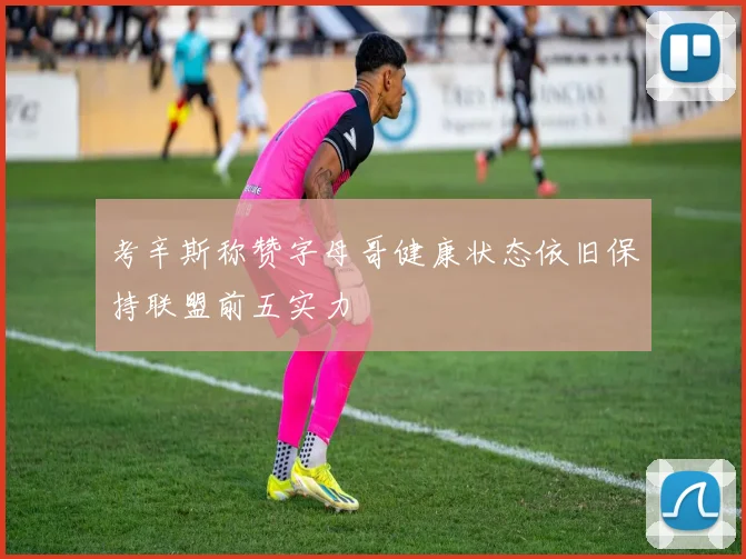 考辛斯称赞字母哥健康状态依旧保持联盟前五实力