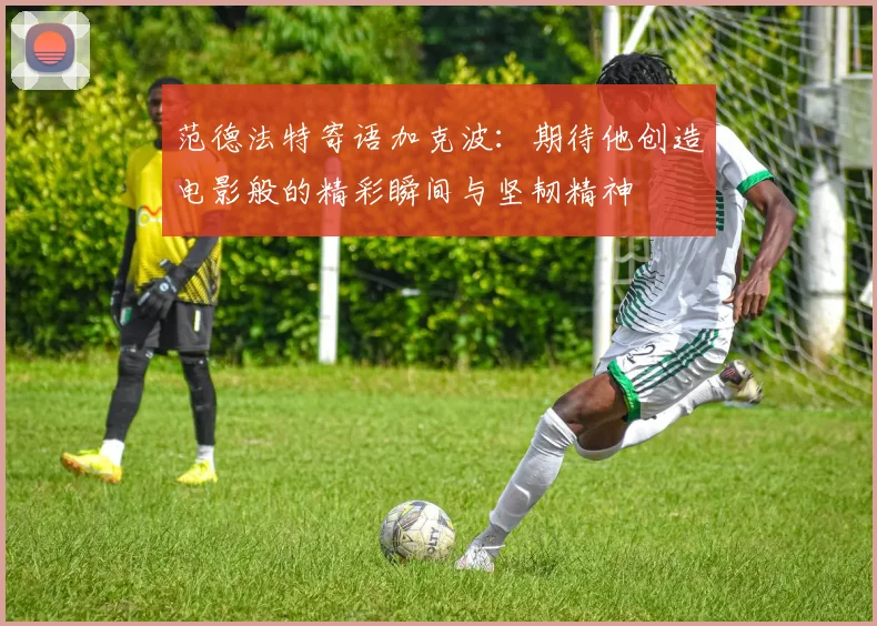 范德法特寄语加克波：期待他创造电影般的精彩瞬间与坚韧精神